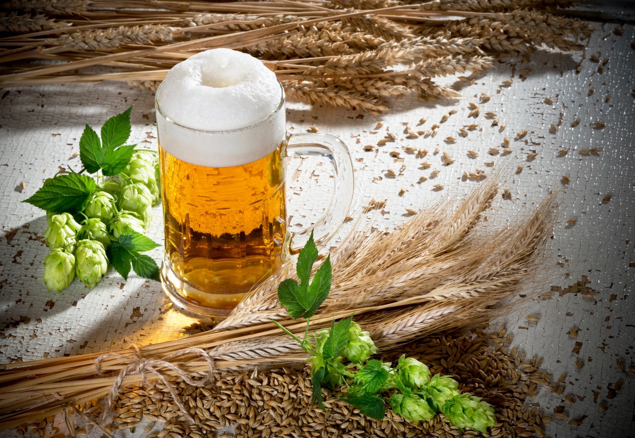 Stettler Brewing Company in Stettler, Alberta