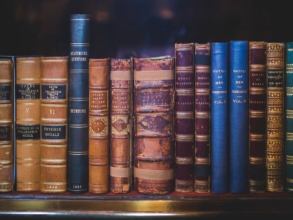 A row of old, leather-bound books on a wooden shelf.