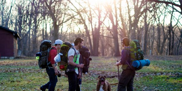 hiking, pets, outdoors, camping