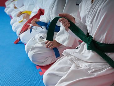 Martial artists kneeling with colored belts in a row.