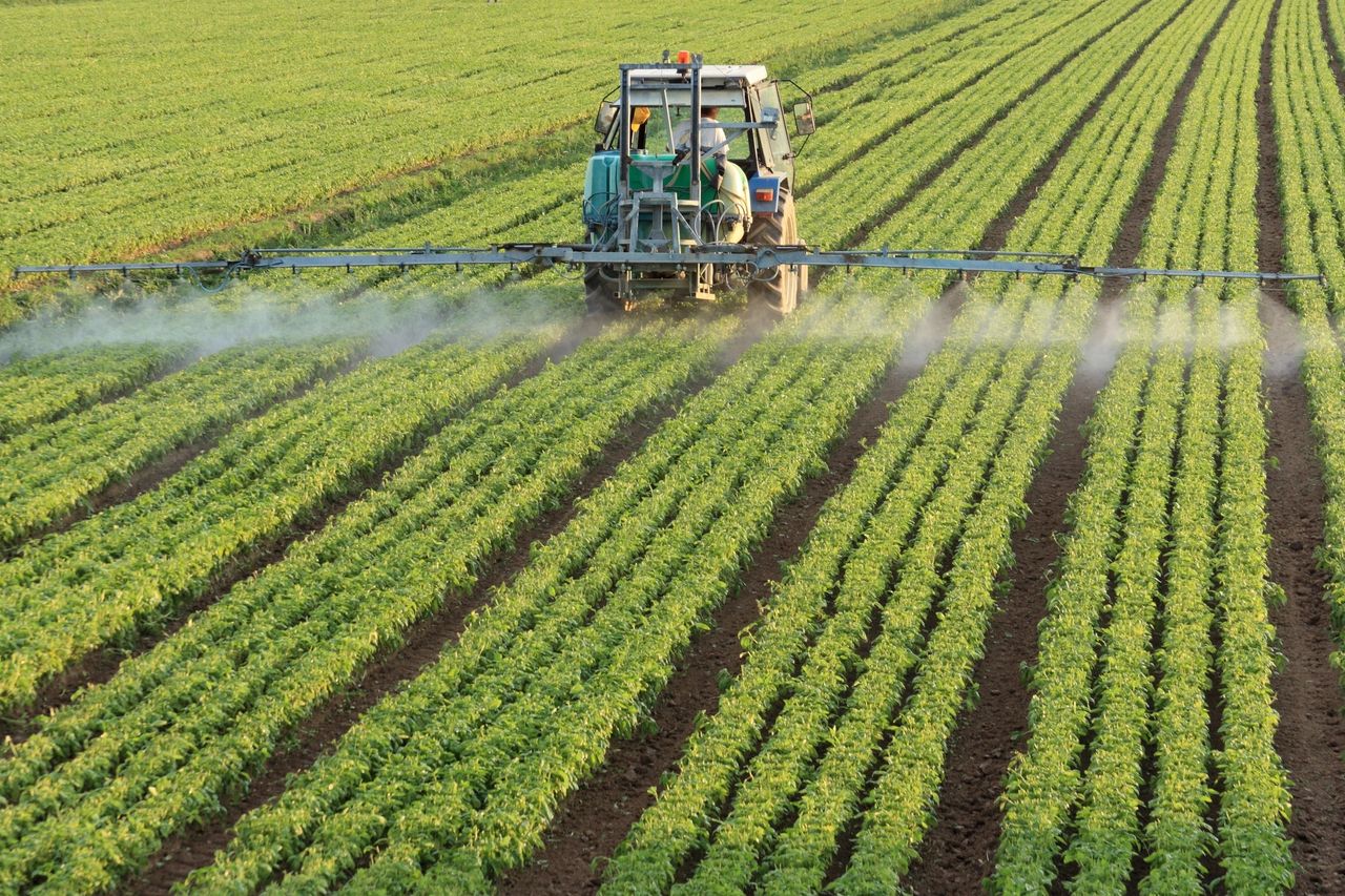 Large scale industrial farming is not socially or environmentally sustainable