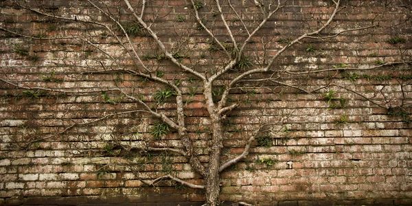 image141