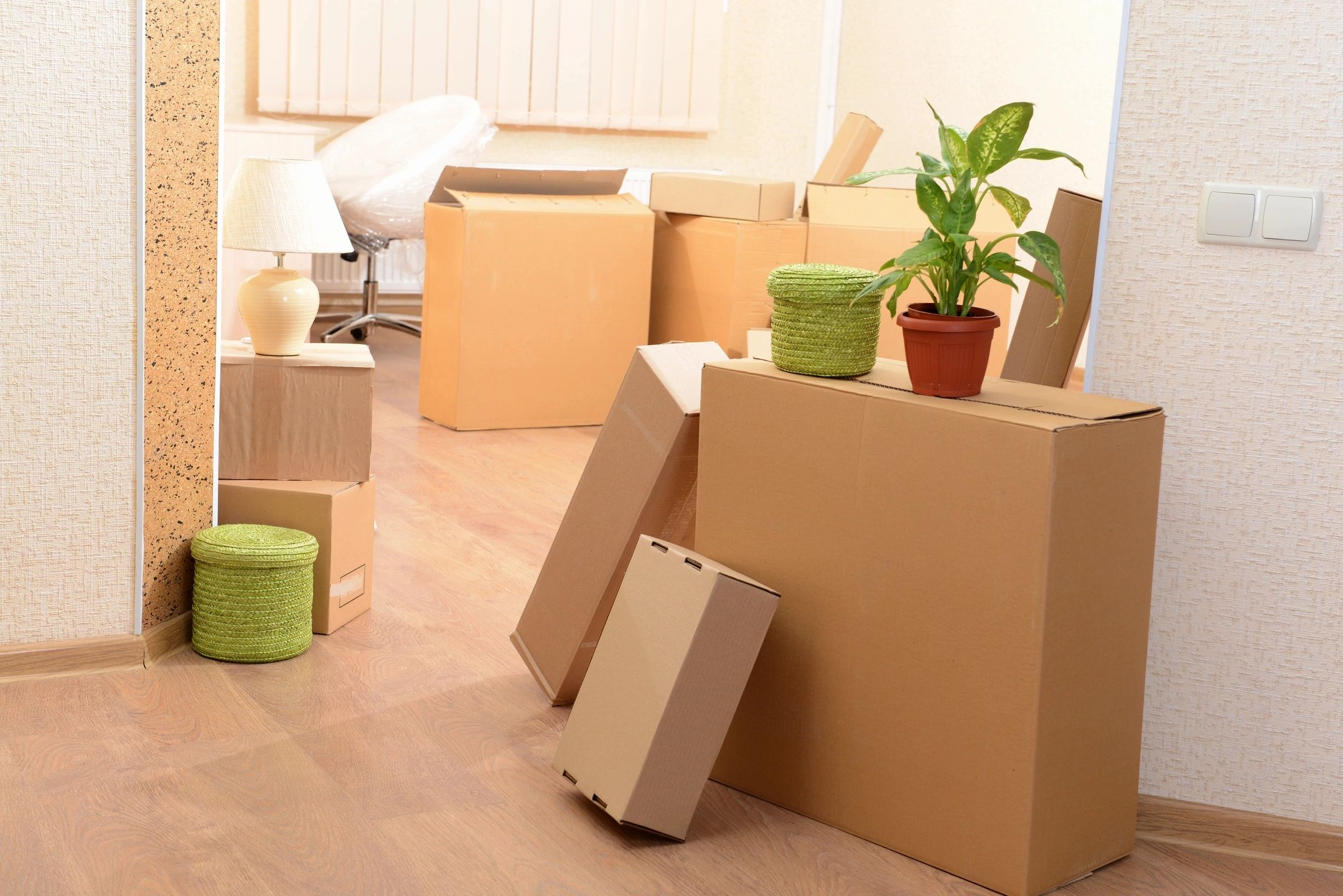 Treasure State Movers