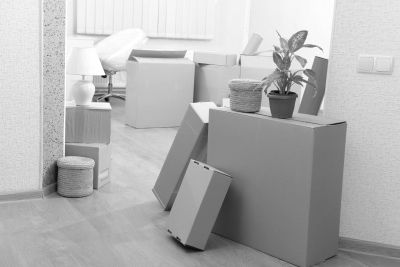 Packed cardboard boxes and plants in a room, suggesting moving or relocating.
