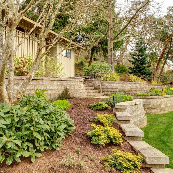 Terraced garden with stone retaining walls and lush greenery around a house.