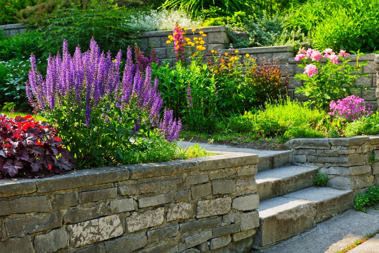 Power of diverse, seed-producing flowers.