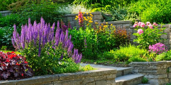 Garden landscape