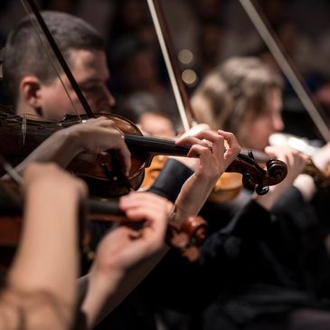 Musicians playing violins in an orchestra.