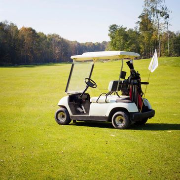 Saddleback Golf Cart Rentals in Orange County California on all 2 4 and 6 Passenger Gas and Electric