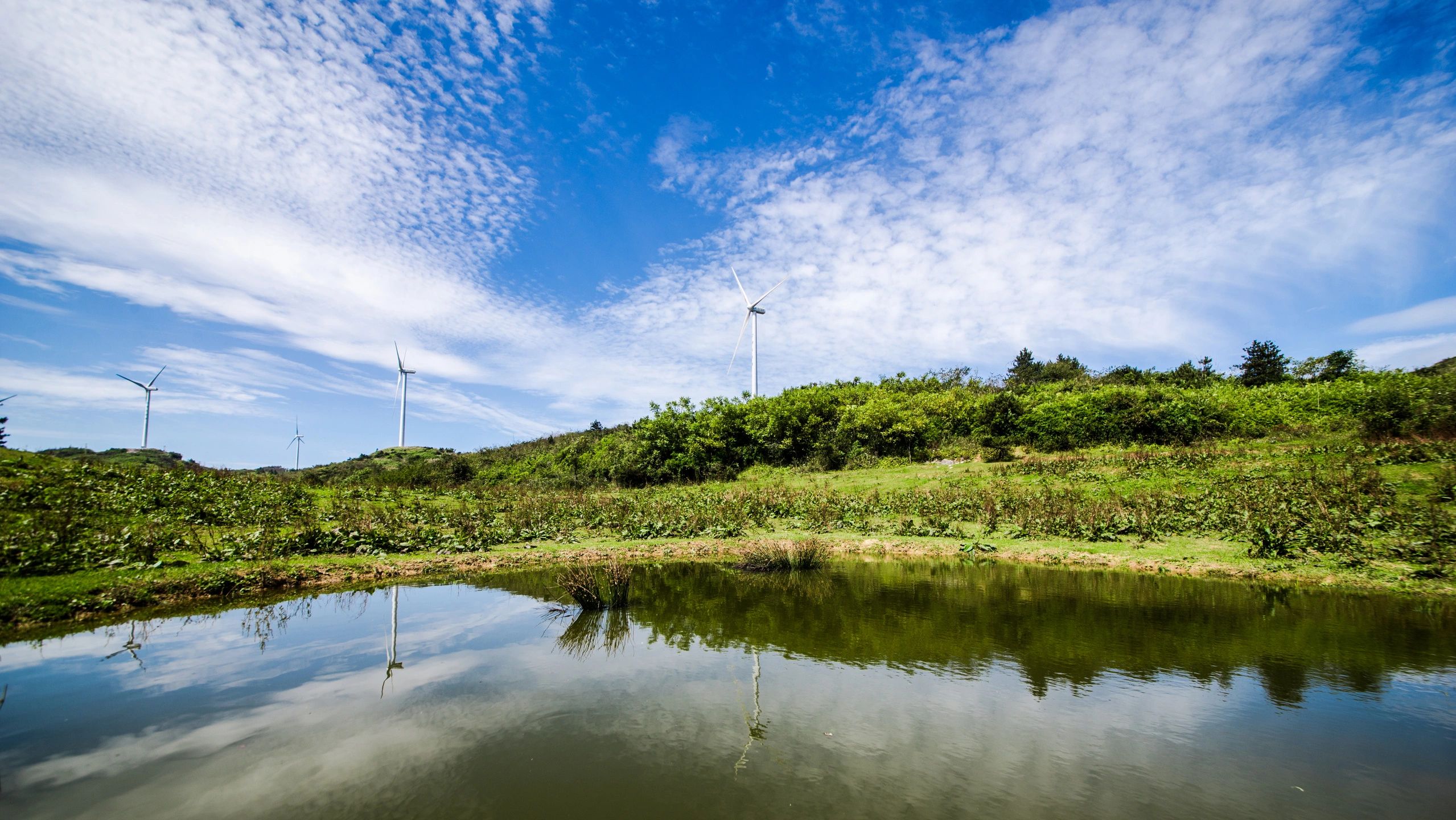 Services The Smart Group Inc