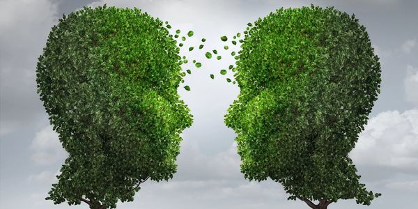 Mentoring coaching conversation business mentor business coach business support