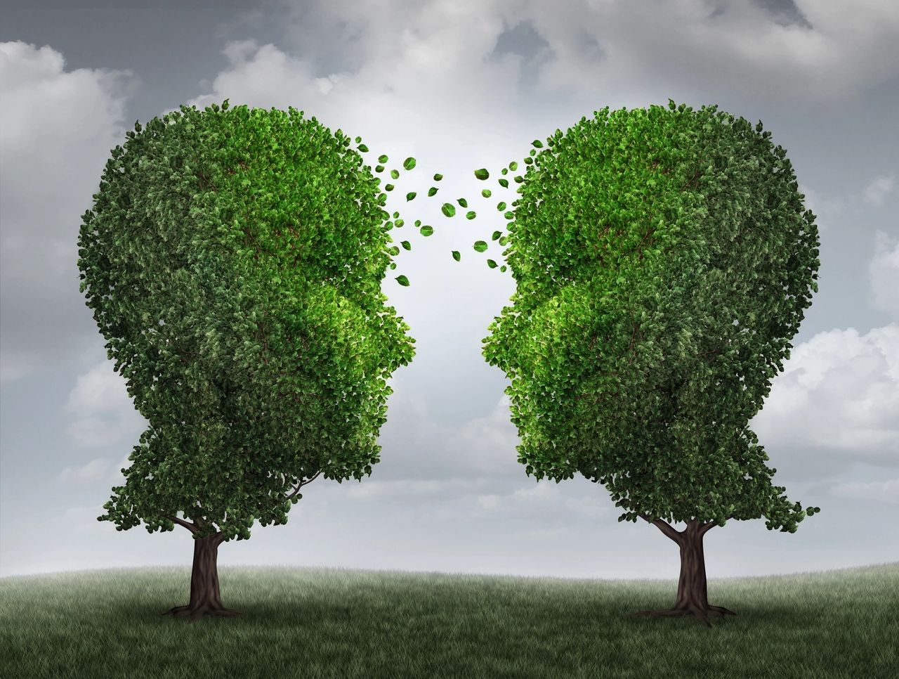 Two trees formed as human heads, facing each other, exchange leaves.