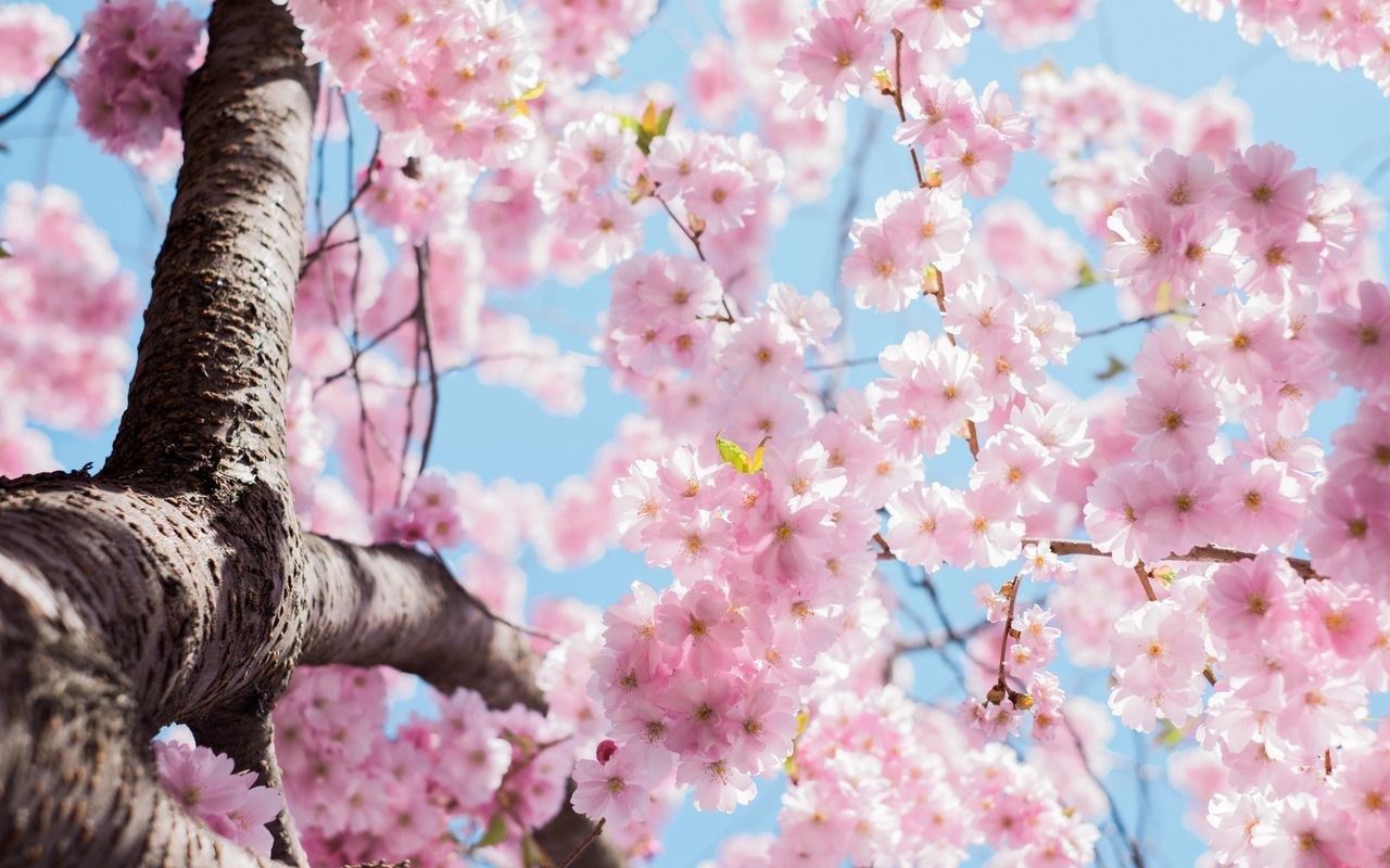 Let's Spring Clean Those Finances