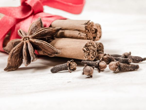 Cinnamon sticks, star anise, and cloves on a white surface with a red ribbon.