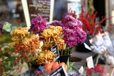 Colorful flowers on display at a market.