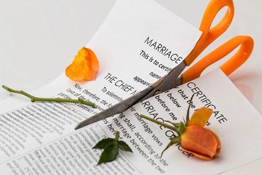 Formatos Juduciales de Ley de lo Familiar / Family Law documents