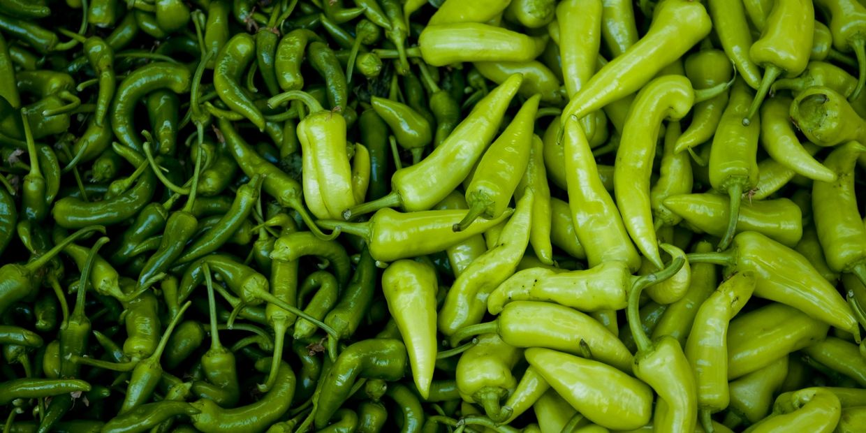 Close-up of fresh green chili peppers in two different shades.