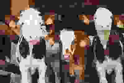 Sioux Falls Dairy Jobs