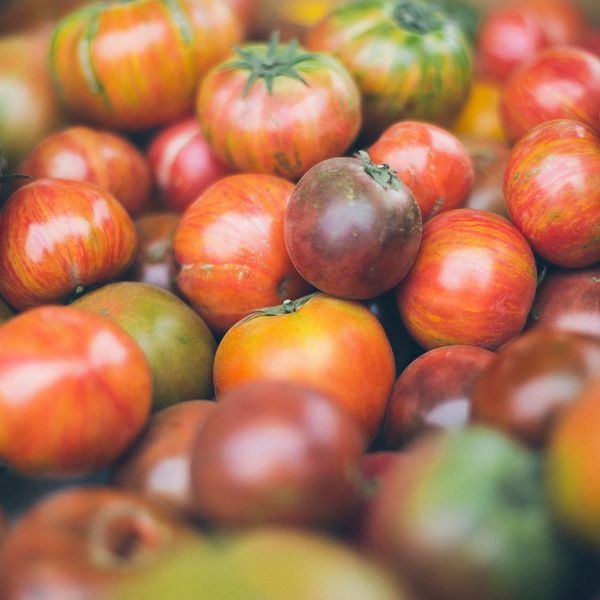 A close-up of colorful heirloom tomatoes with various stripes and shades.