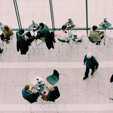 leadership development, high performing teams