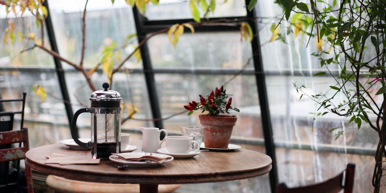 Cozy table set with coffee and a small potted plant in a greenhouse café.
