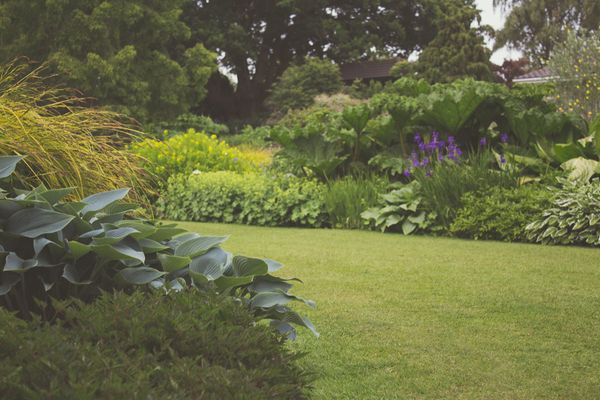 A lush garden with diverse green plants and a manicured lawn.
