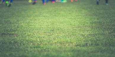 Green grass field with blurred people in the background.