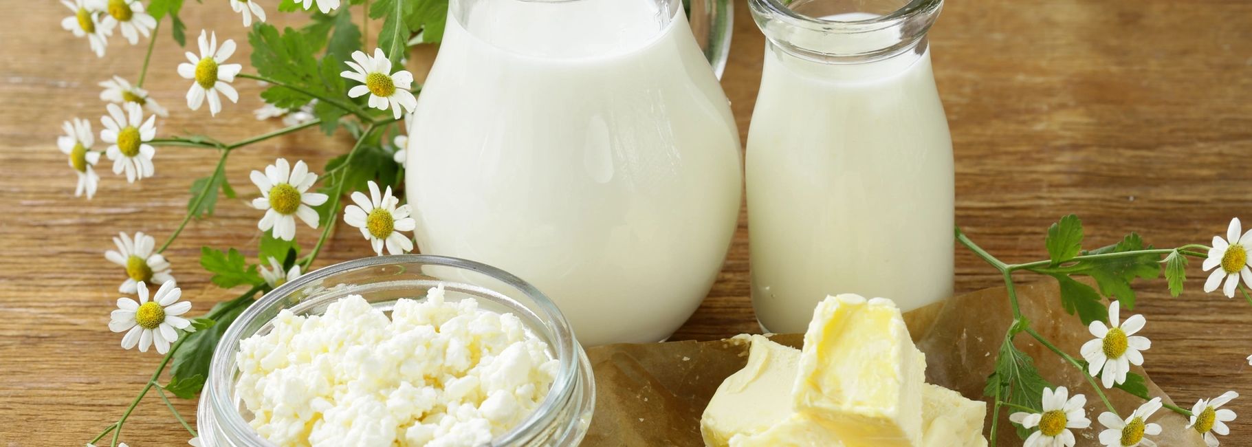 Cheese Needs Whey, Whey, Cheese, Protein Shakes Cheese Needs