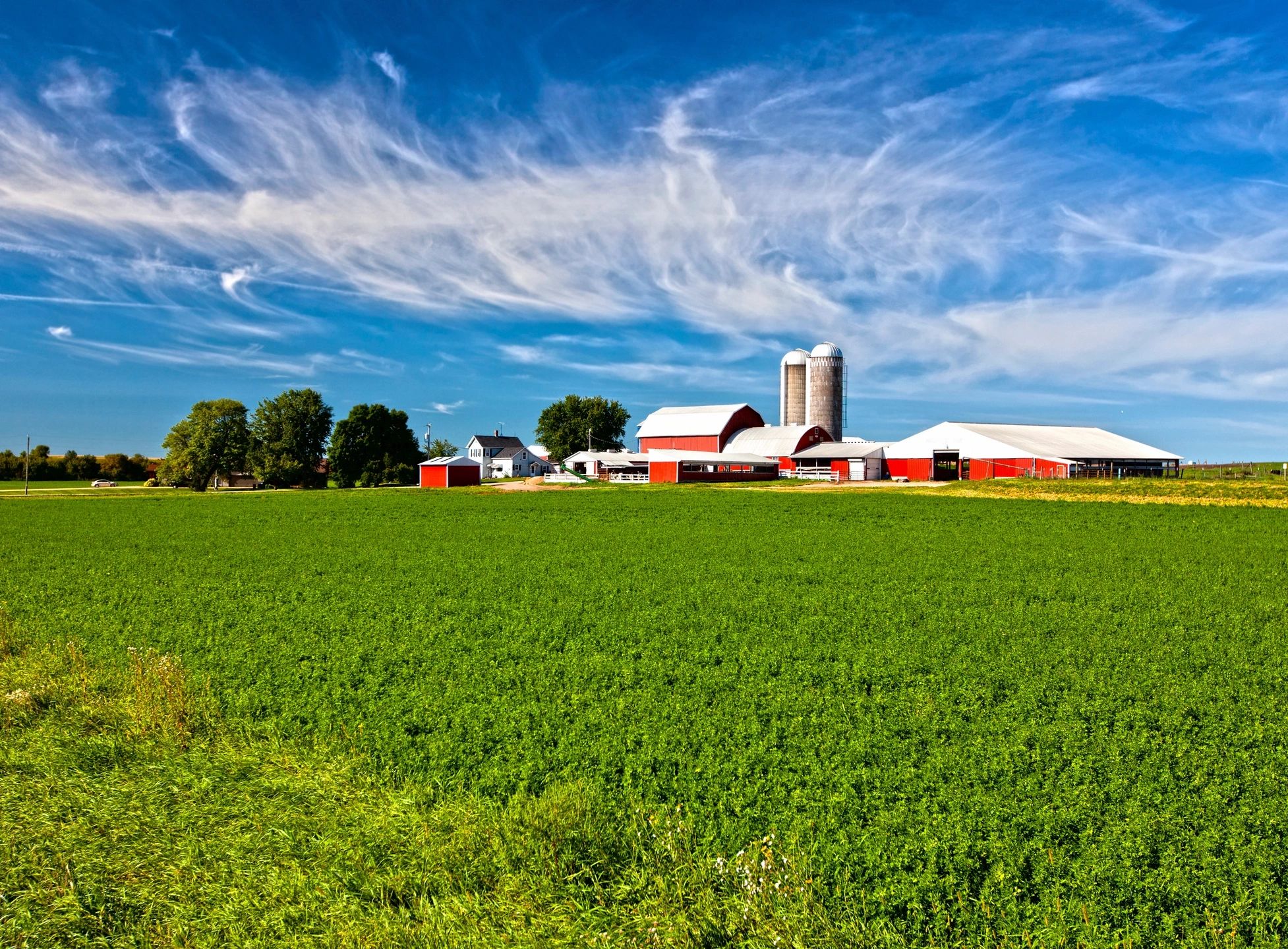 Farm in Iowa