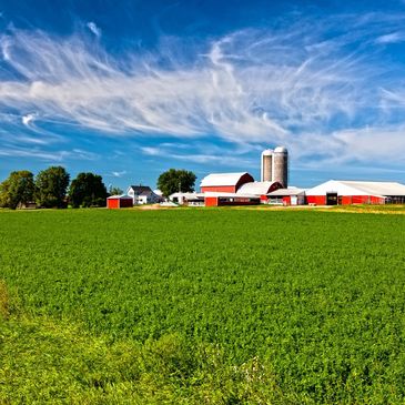 Farm photo