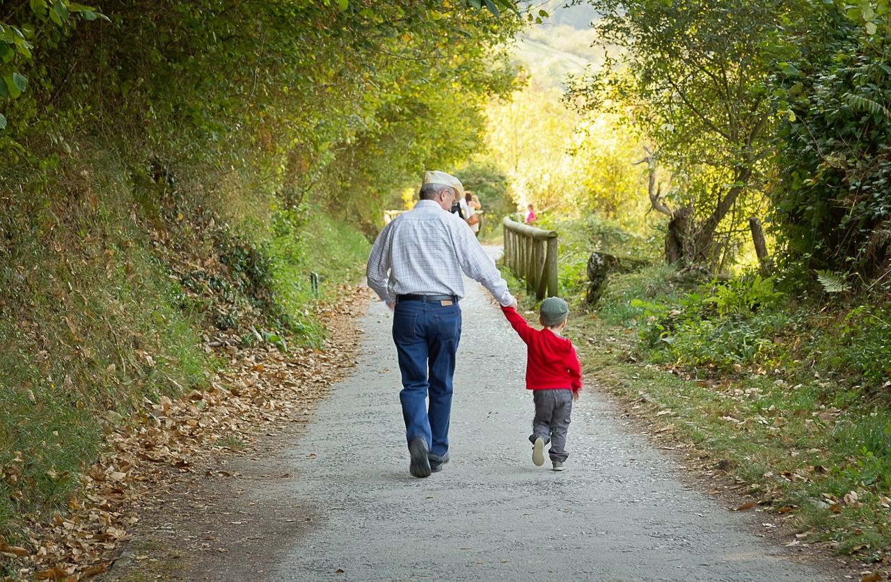 Grandfather holding his grandson's hand while walking in nature. The path is surrounded by green trees on both sides and their backs are facing us, while they are walking forwards.