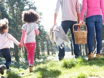 Standard mirror Wills with guardianship clause