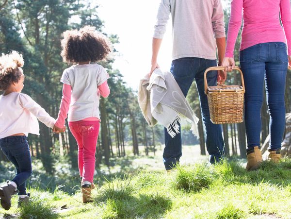 Family walking in a forest with a picnic basket and blanket.