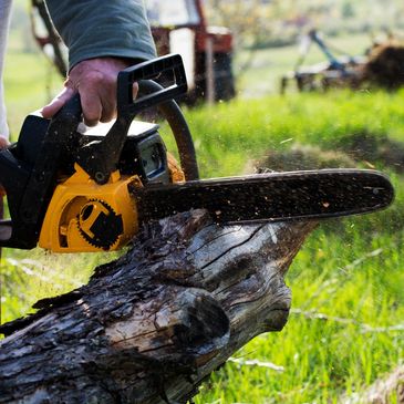Cutting up a tree with a small chainsaw