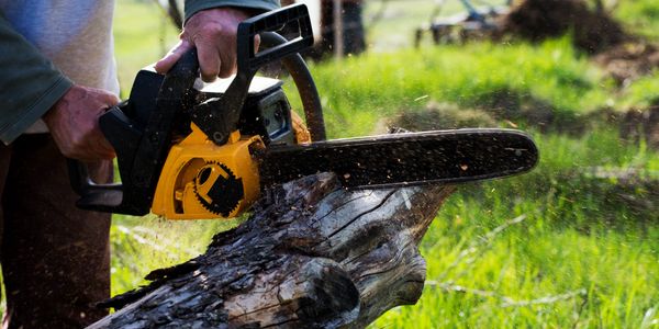 Tree Removal and Trimming, Helena, MT.