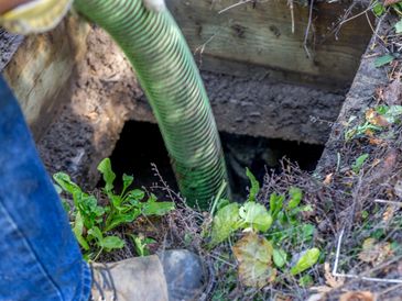 drainage green pipe