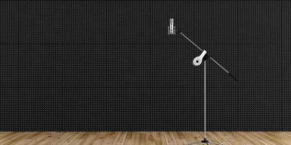 Microphone on a stand against acoustic panels.