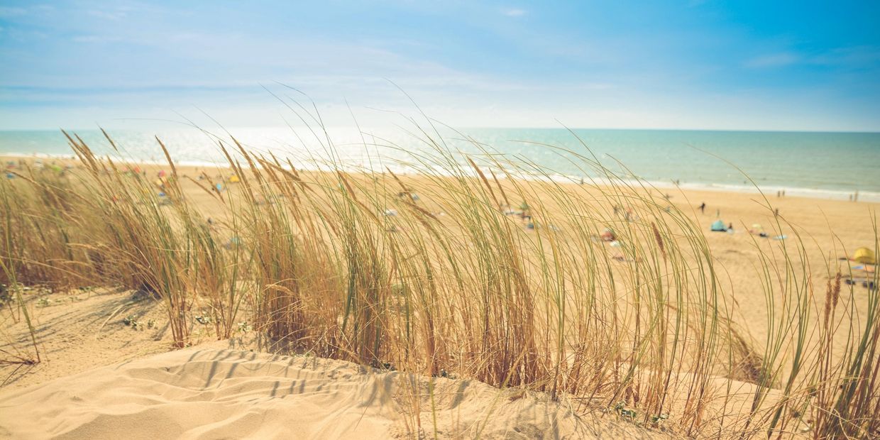 View of sand dunes overlooking the ocean