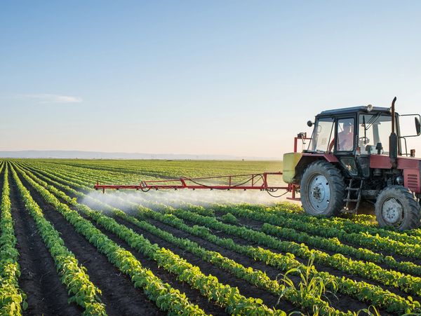 Farmer working with a tractor, crop production