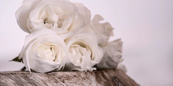 Close-up of white roses on wooden surface.
