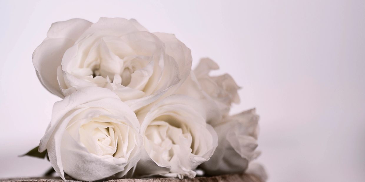 white roses