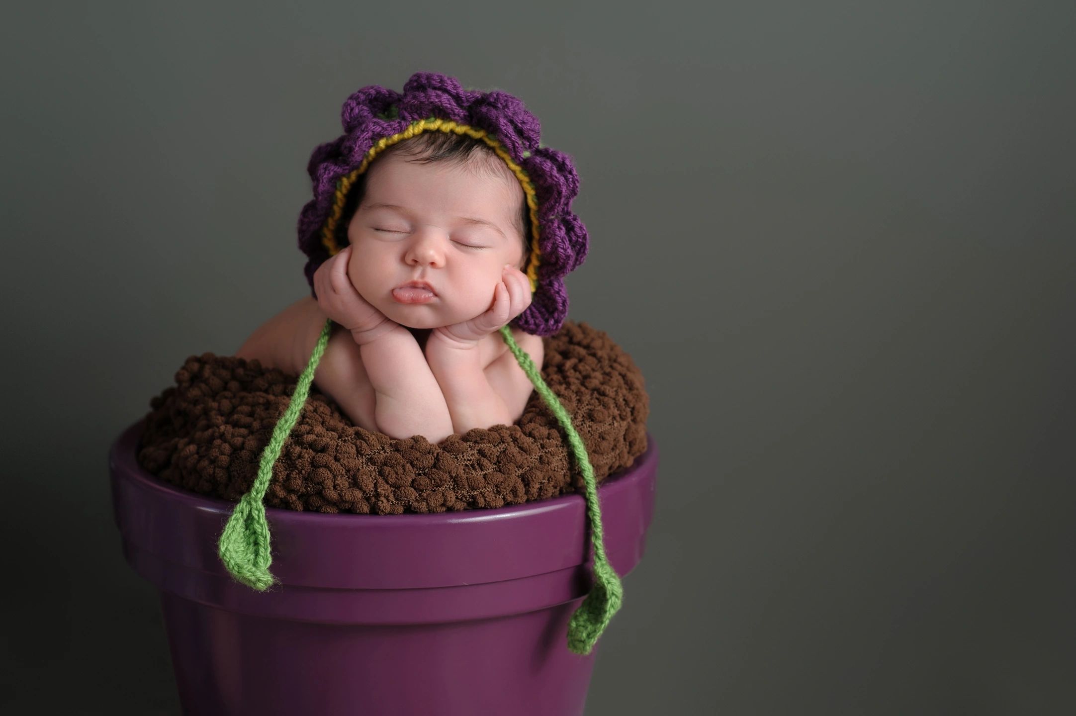 Newborn baby propping up head with hands, on purple flower pot wearing purple head band like flower