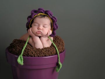Posed baby in a flower pot