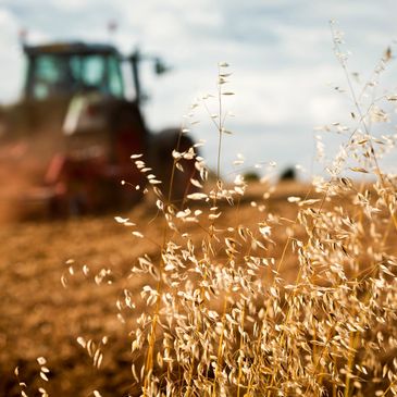 Entreprise du secteur de la machinerie lourde