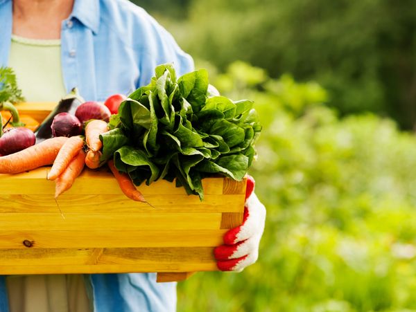 Farmer with fresh picked produce