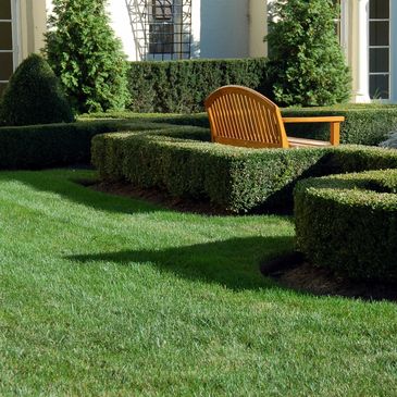 yard lawn mowing service temecula murrieta