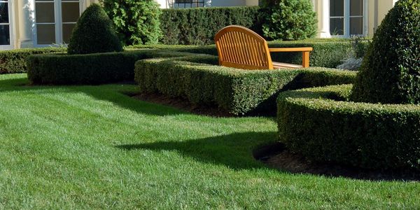 Hedge cutting staffordshire 
school hedge cutting 
school grass cutting