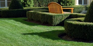 Spring & fall clean up, weekly mowing, shrub trimming and pruning, edging, weeding programs and fert