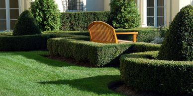 Wooden bench in a manicured garden with trimmed hedges.