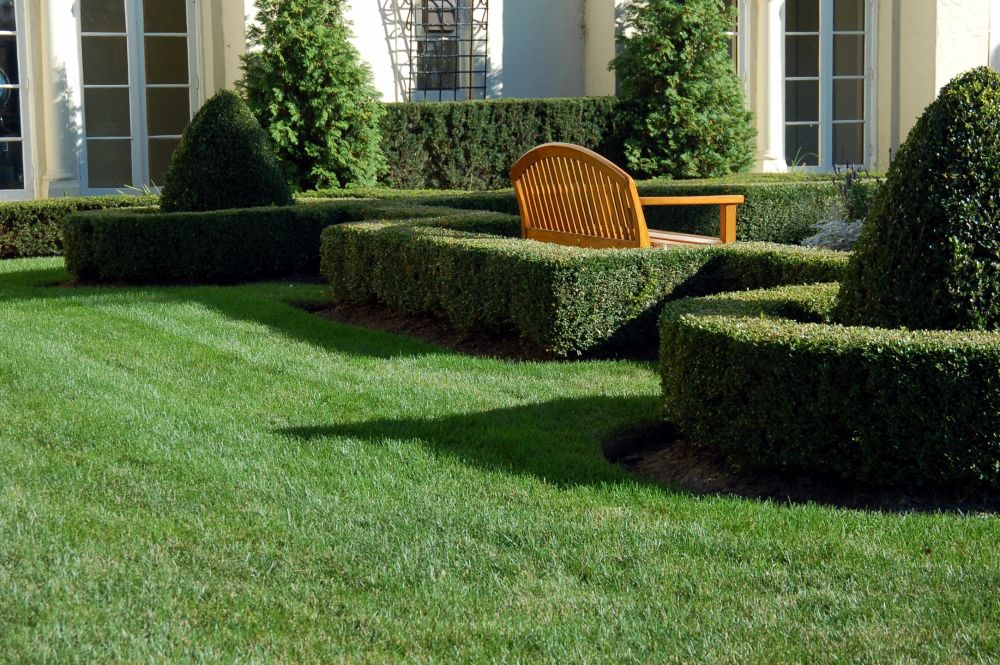 Clipped boxwood hedging, shaped evergreens and a striped lawn at the front of a home